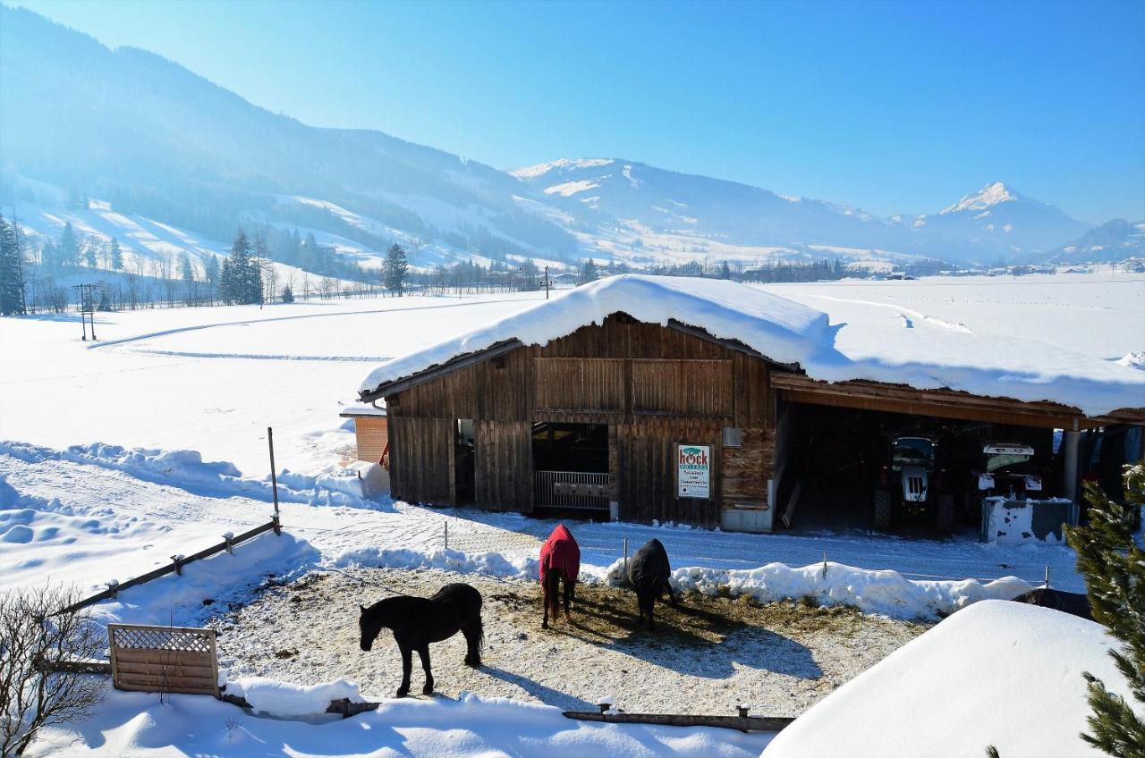 Villa Kleintoedlinggut Leogang Exterior foto